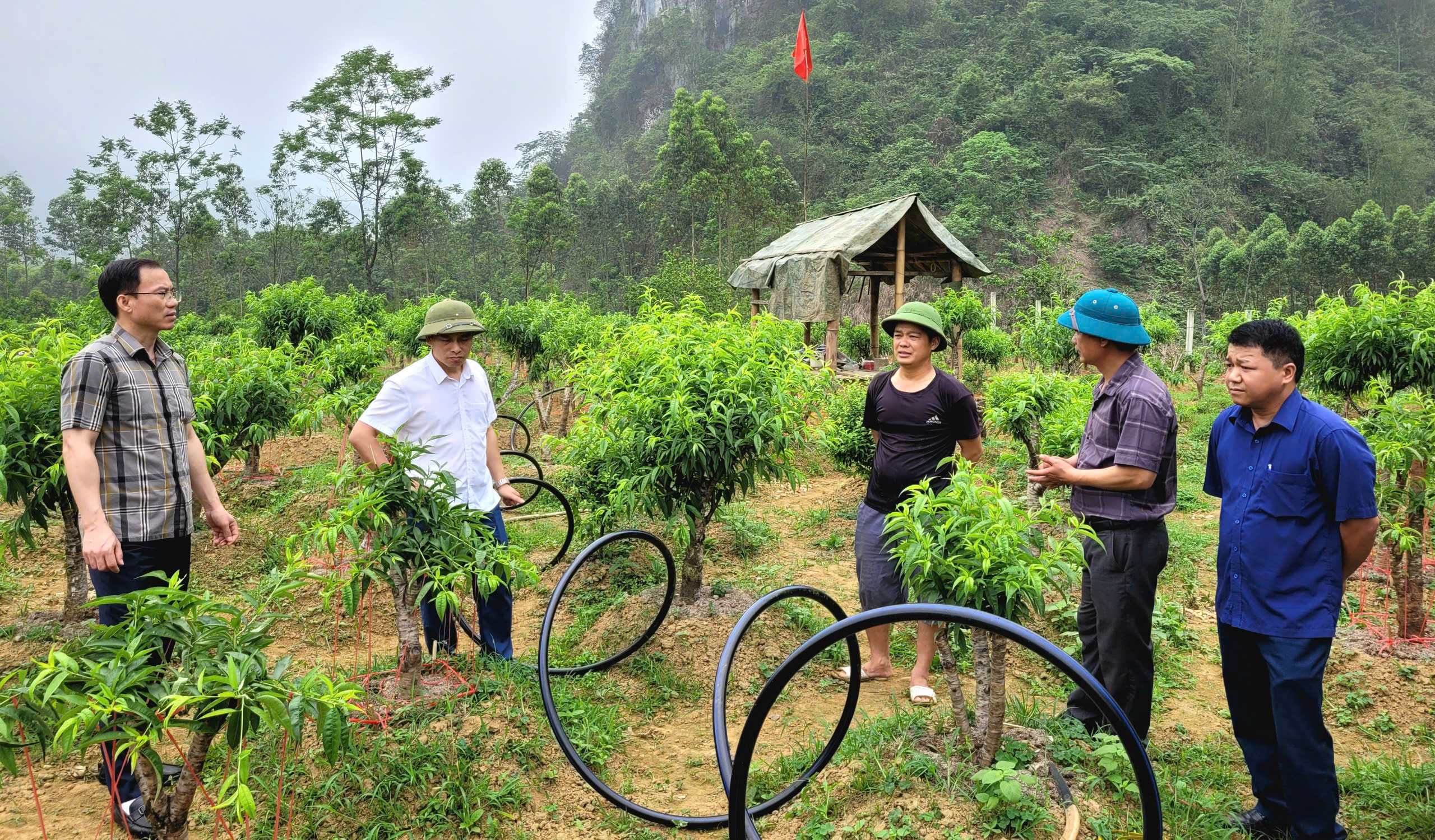 Khảo sát tình hình, kết quả thực hiện Nghị quyết số 09/2019/NQ-HĐND ngày 10/12/2019 của HĐND tỉnh tại huyện Bắc Sơn