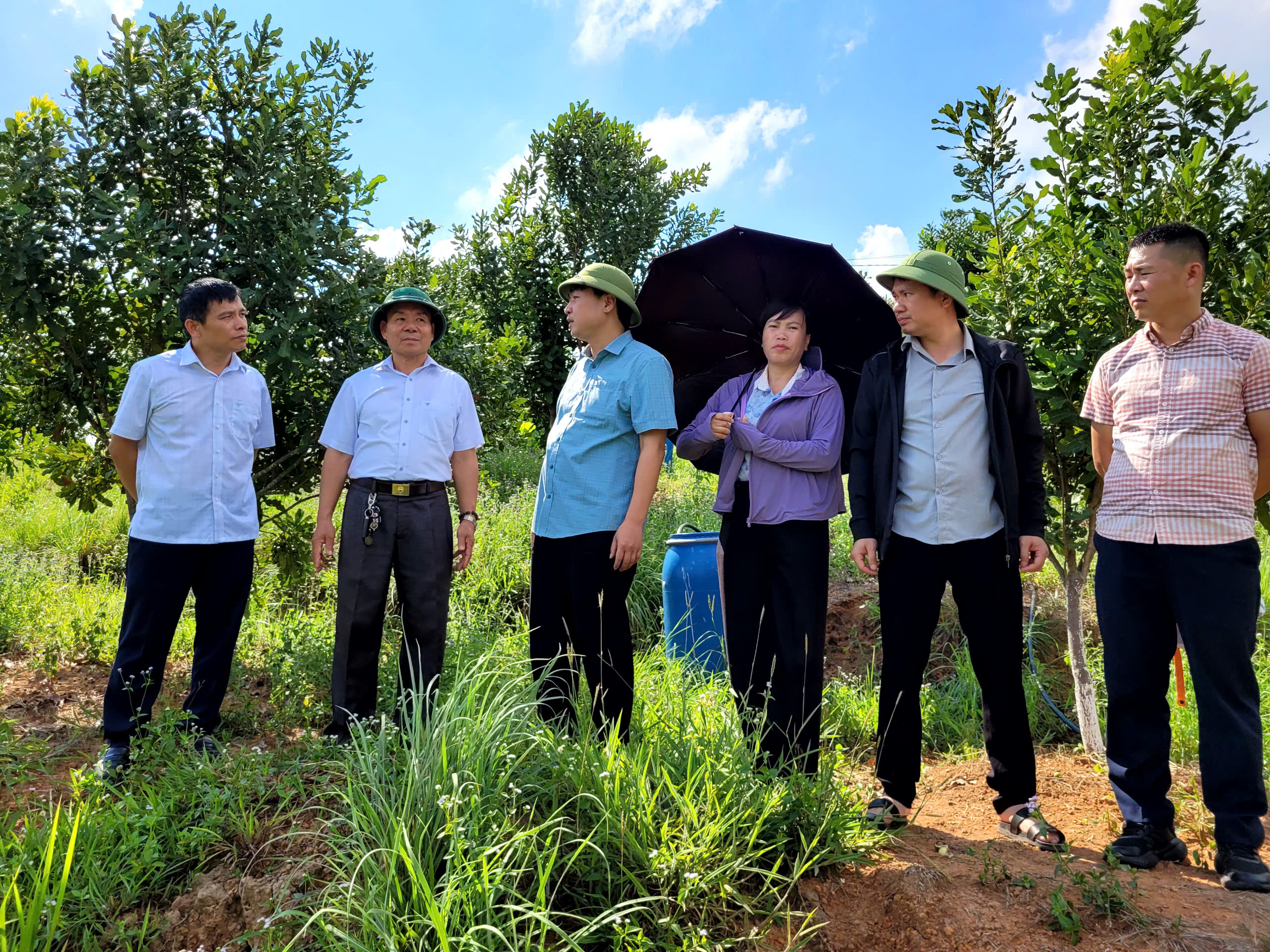 Ban Dân tộc HĐND tỉnh khảo sát tình hình triển khai các nghị quyết về phát triển nông nghiệp tại xã Lợi Bác