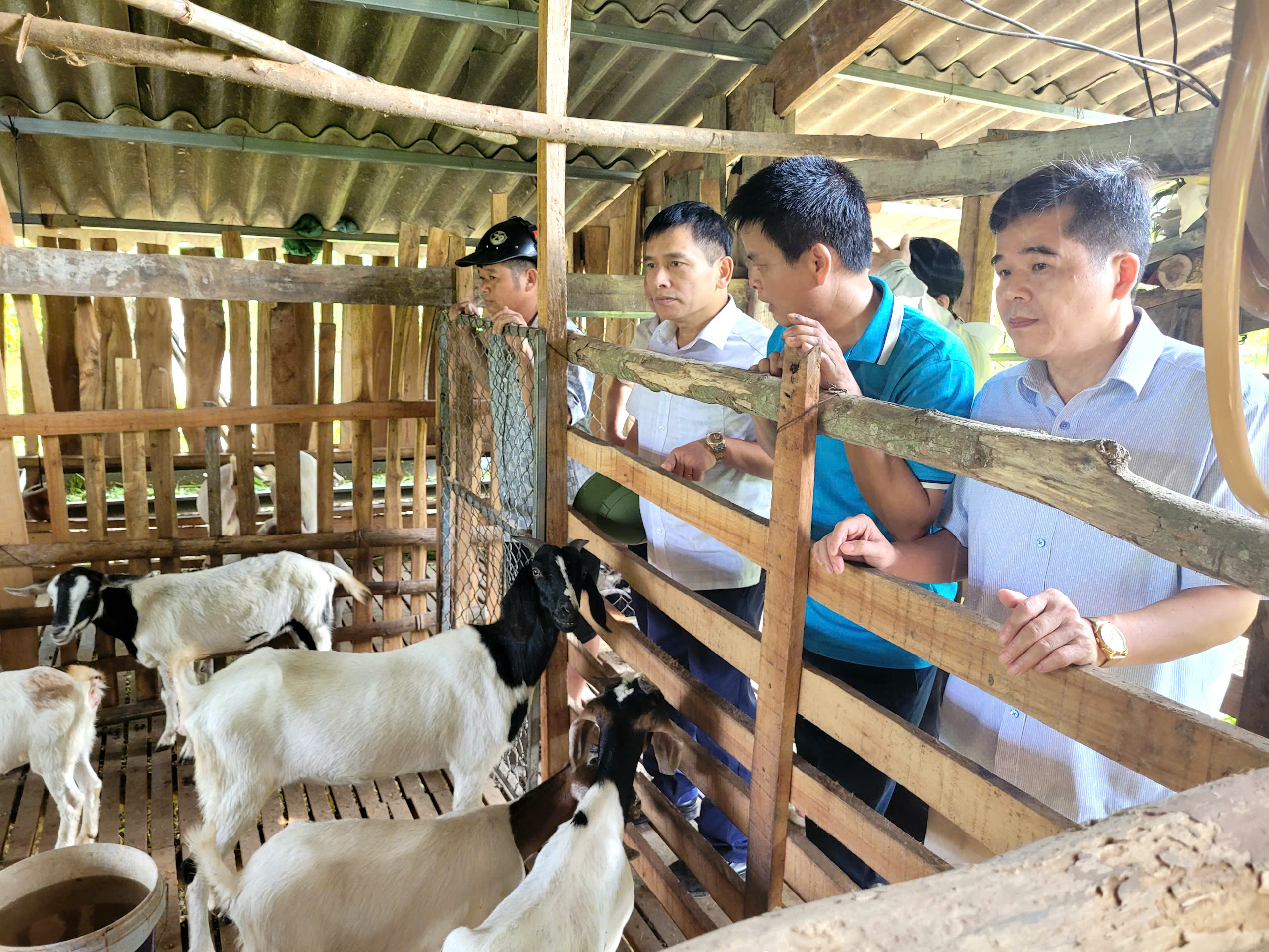 Ban Dân tộc HĐND tỉnh khảo sát các mô hình chăn nuôi tại xã Nhất Hòa và Vũ Lăng