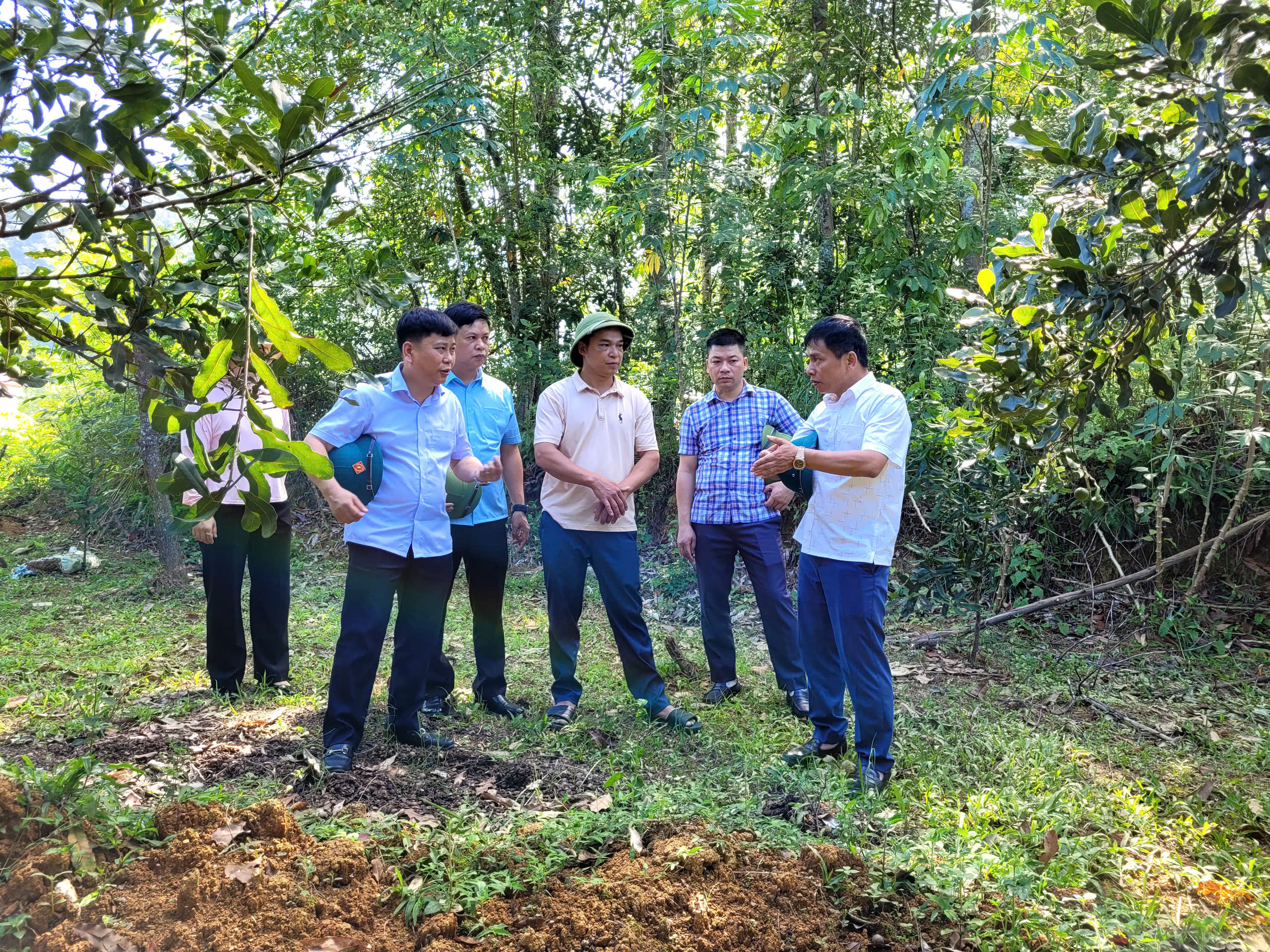 Ban Dân tộc HĐND tỉnh khảo sát các mô hình phát triển sản xuất nông nghiệp tại xã Vũ Lễ
