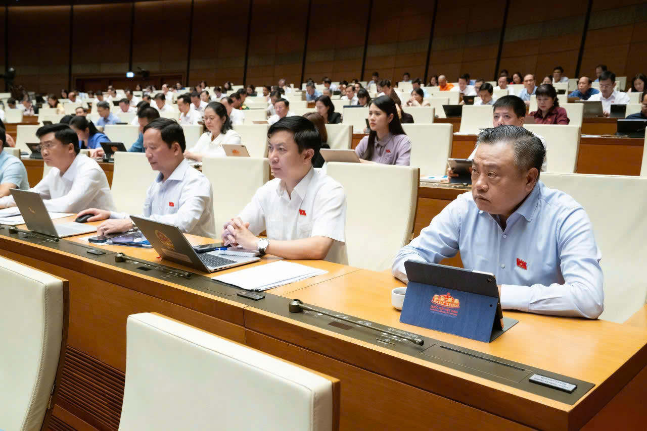 Đại biểu Quốc hội tỉnh tham gia ý kiến về phòng, chống phổ biến vũ khí hủy diệt hàng loạt