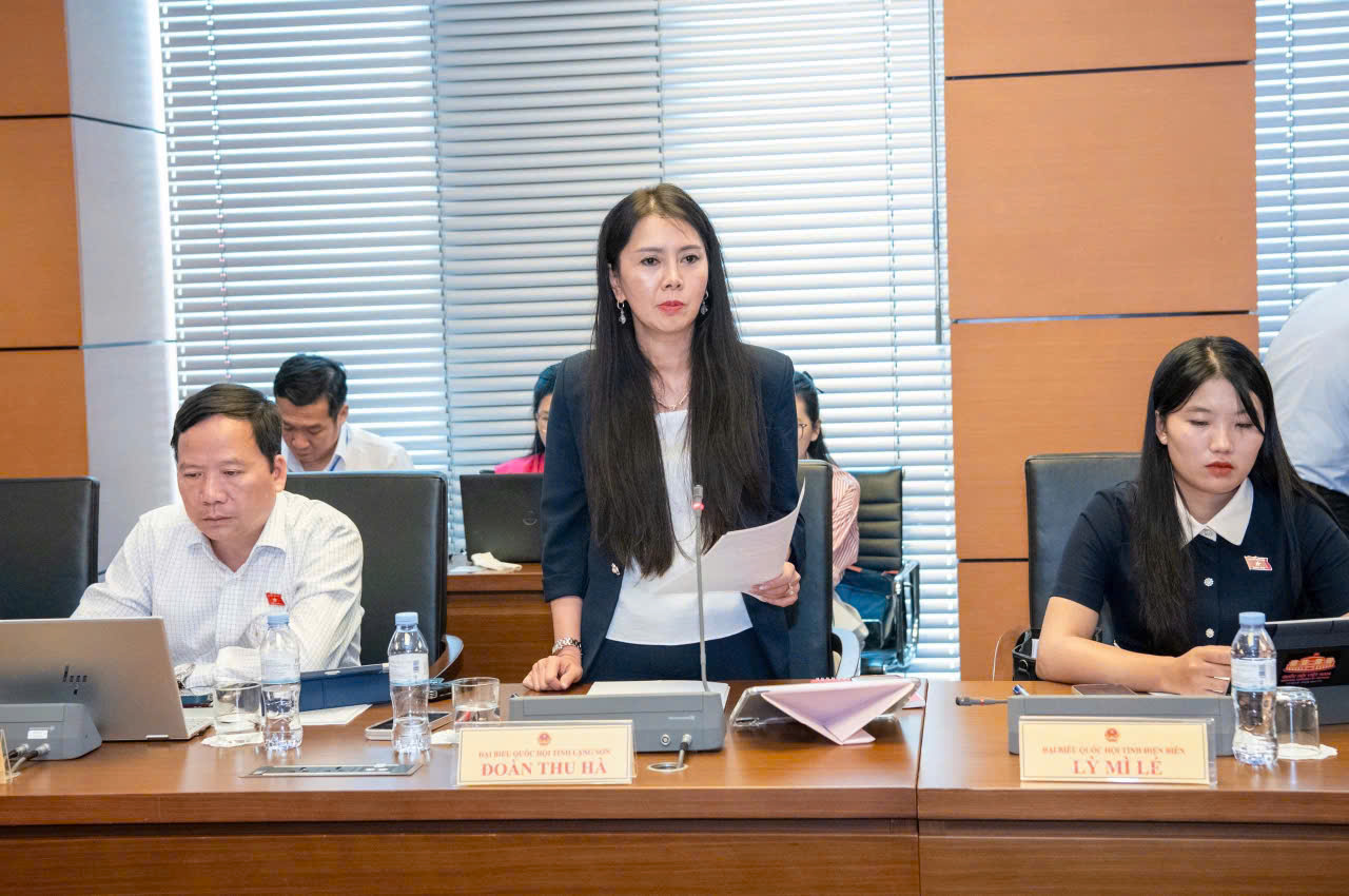 Đại biểu Quốc hội tỉnh góp ý một số dự án luật