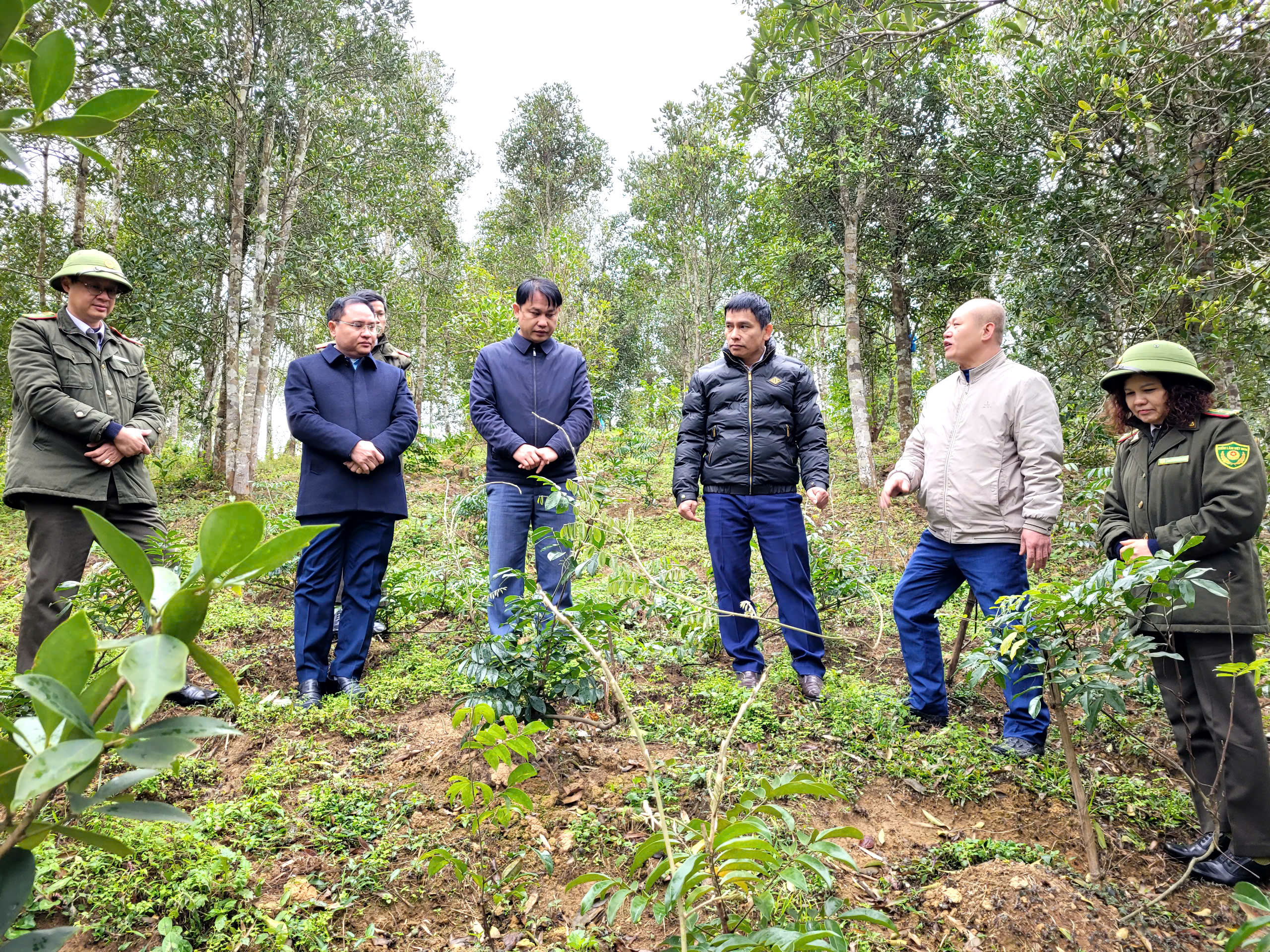 Ban Dân tộc HĐND tỉnh khảo sát kết quả trồng rừng gỗ lớn và cây dược liệu dưới tán rừng tại xã Hưng Vũ và Công ty Kim Sơn 