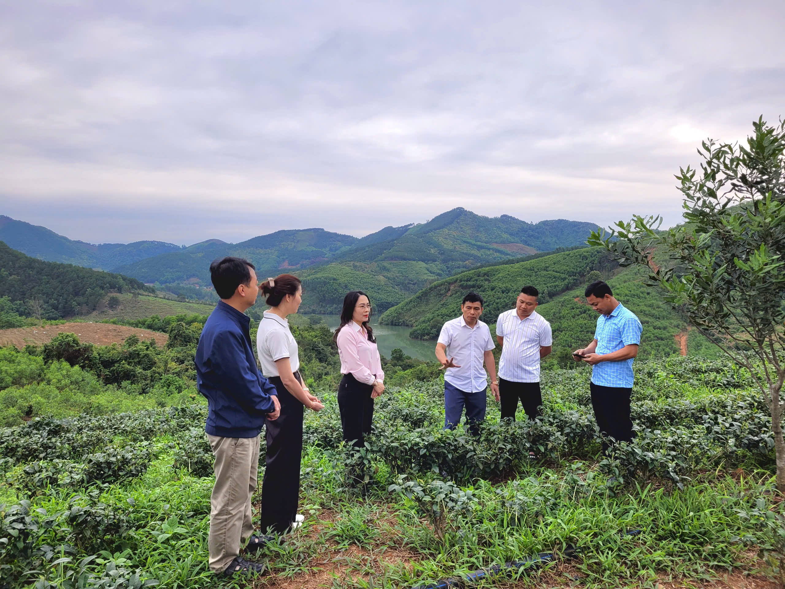 Đoàn khảo sát Ban Dân tộc HĐND tỉnh khảo sát tình hình chế biến chè tại xã Thái Bình