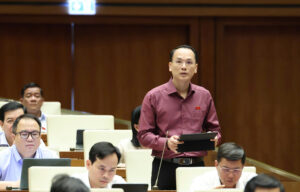 Đại biểu Lưu Bá Mạc phát biểu tại hội trường